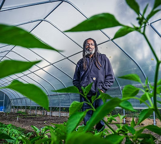 A grower standing among leafy plants inside a greenhouse